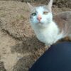 Thumbnail of related posts 040