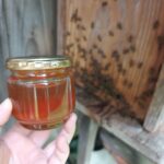 Thumbnail of post image 026