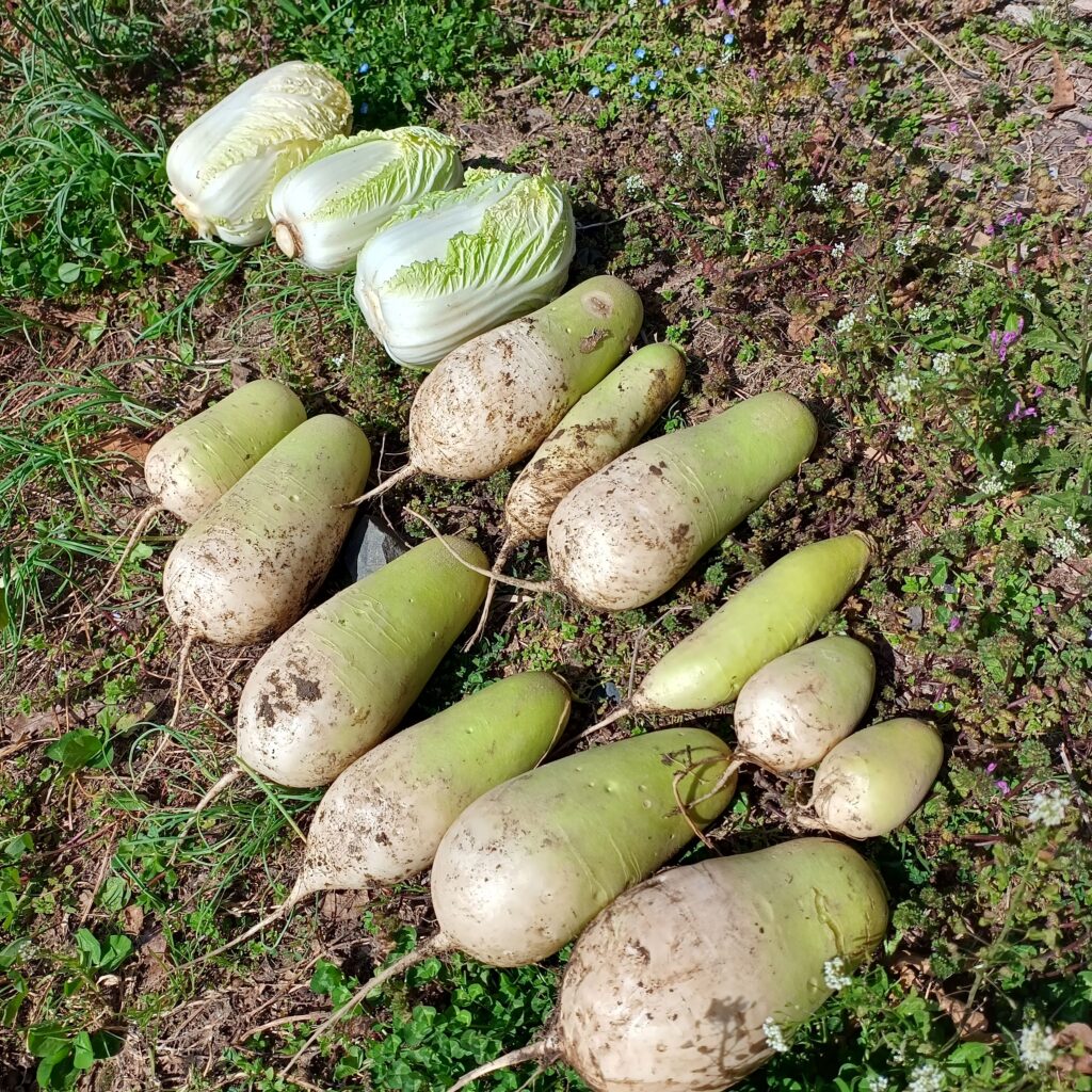 img_20260305_115107647_hdr5299769966541334047