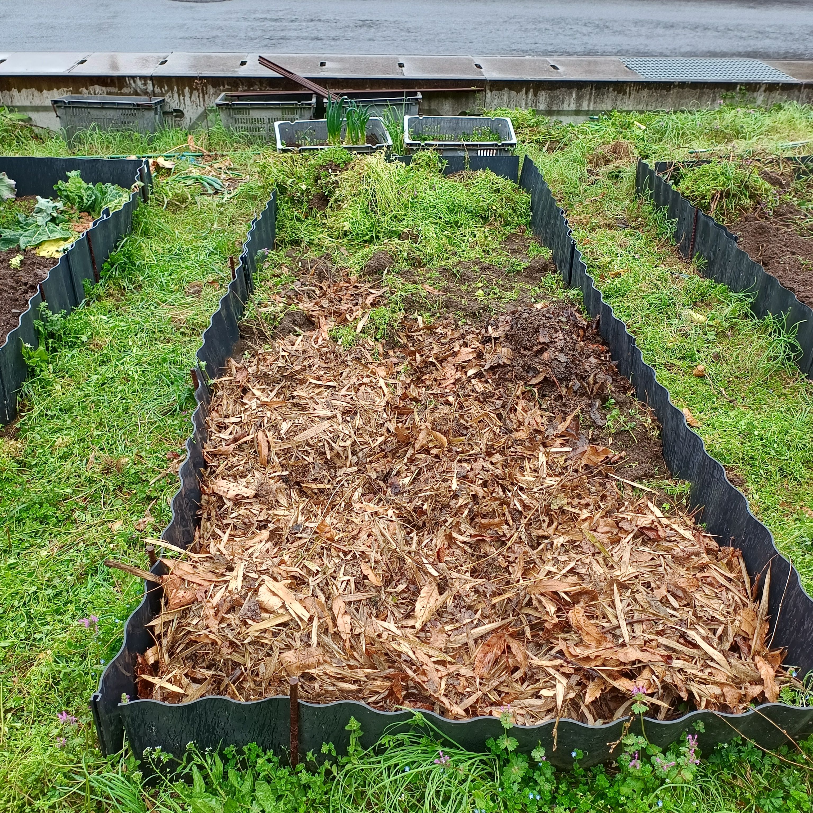 img_20260306_143928314_hdr4468402648918833321