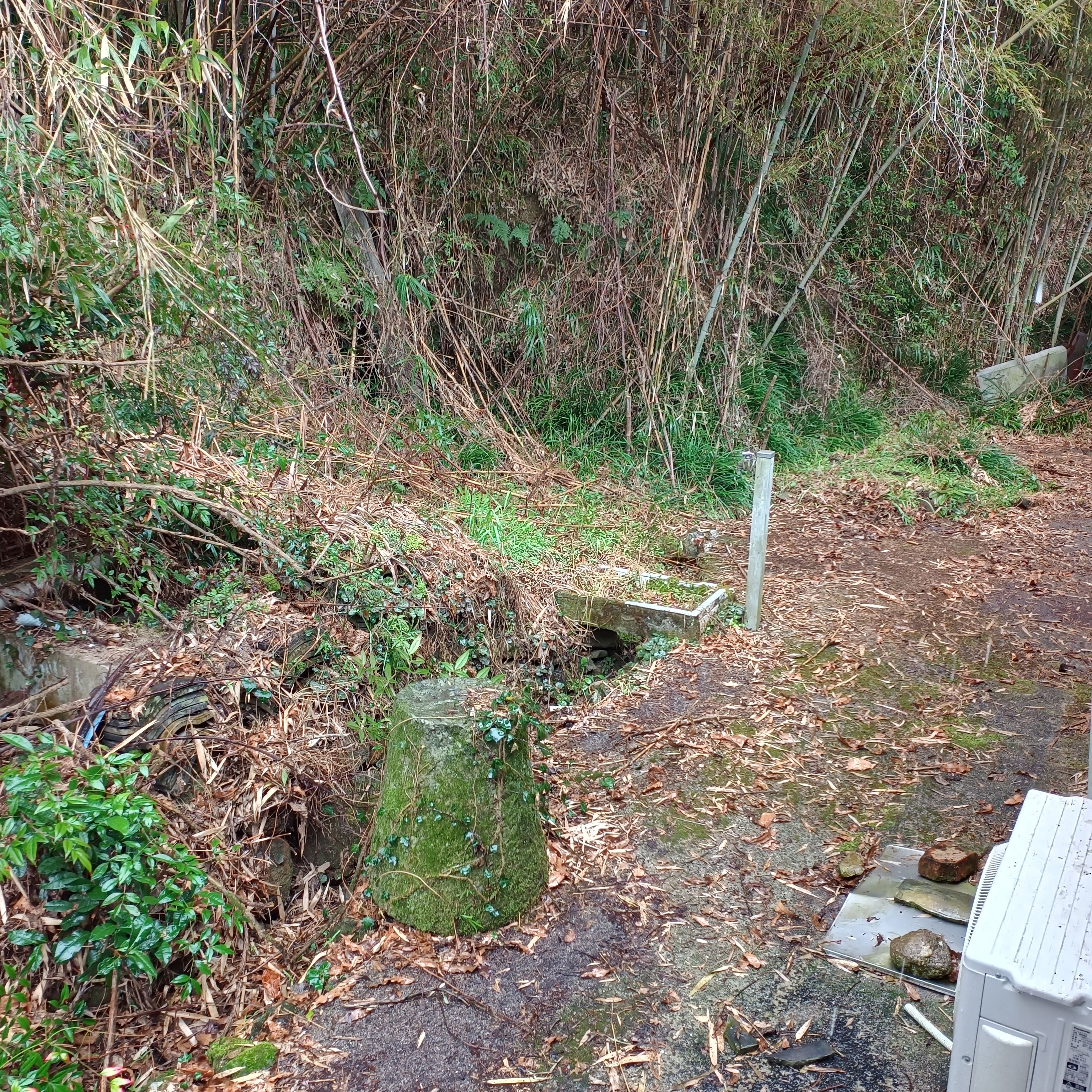 img_20260306_144008164_hdr1155688175293672648