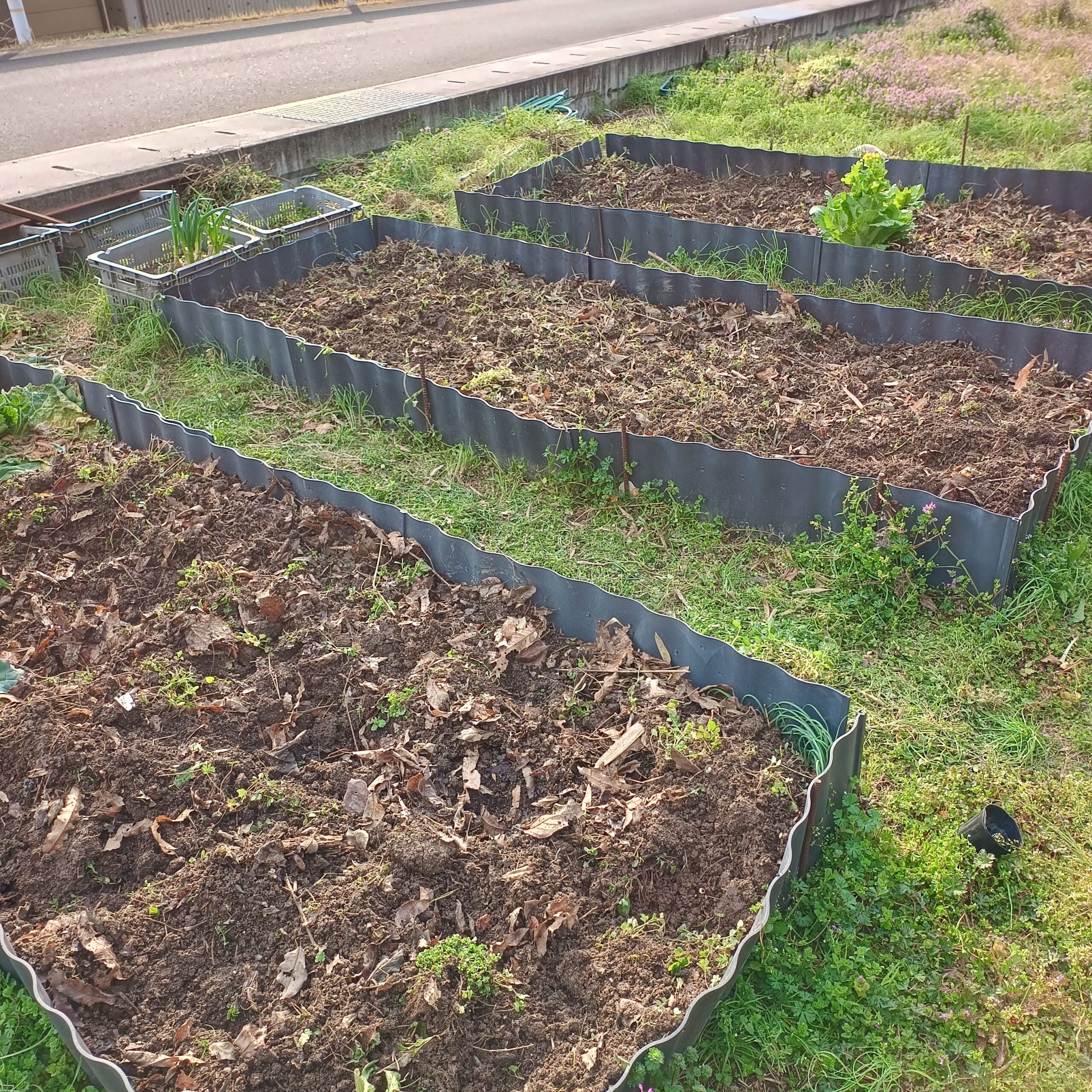 img_20260307_162007843_hdr3738620468345262533