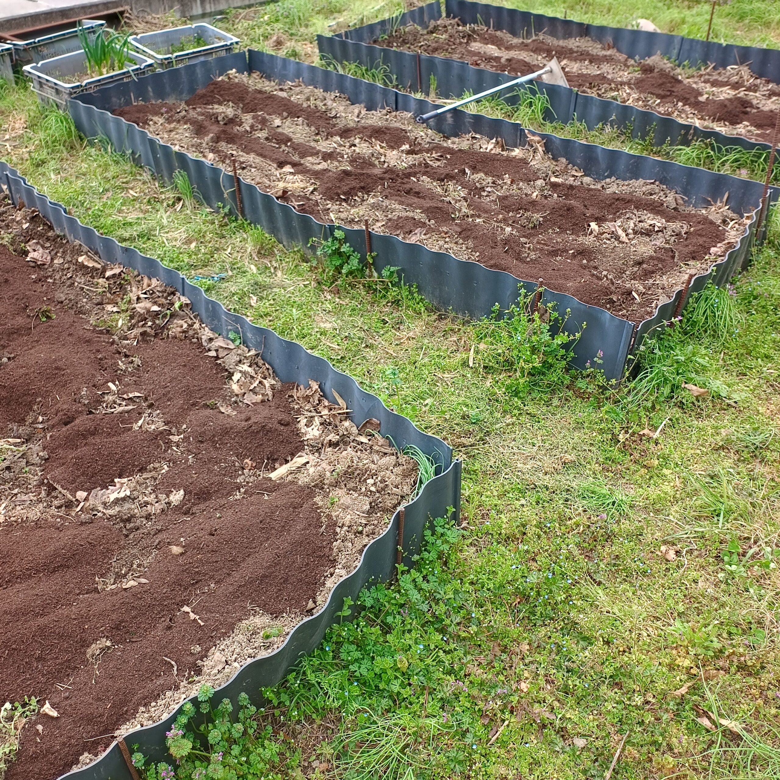 img_20260309_141907827_hdr434003439726789884